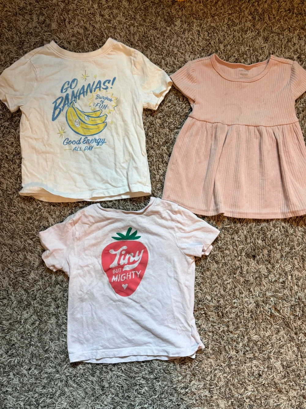 Lot of Toddler Girls’ Short-Sleeve Shirts 3T